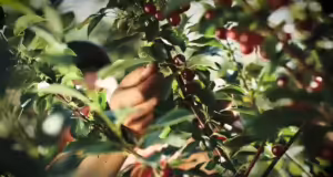 Ministrja Denaj: Mbështesim  sipërmarrjen e të rinjëve që ruajnë trashgiminë familjare