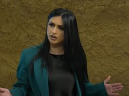 Rikthimi i Sali Berishës, si ai i Napoleon Bonaparte