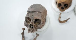 Sekuencimi i ADN-së së mbetjeve të lashta nga shkencëtarët kolumbianë zbulon një linjë të panjohur njerëzore