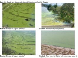 Te Liqeni i Tiranës shkarkohen ujëra të ndotur urbanë