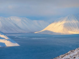 Arktiku përjetoi vitin më të nxehtë të regjistruar ndonjëherë