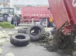 Fermerët francezë “zbarkojnë” te shtëpia e Macron: E “pushtojnë” me lakra, goma dhe një arkivol