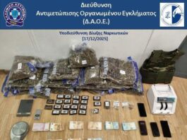 Goditet grupi i drogës në Greqi, mes tyre edhe këngëtari 22-vjeçar nga Tepelena