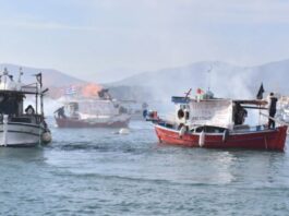 Greqia në kaos, bllokohet Porti i Volos, fermerët e blegtorët bllokada në zona të ndryshme të vendit