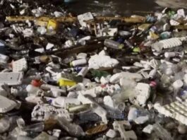 “Adriatiku jugor të shpallet zonë prioritare”, Kroacia mund të padisë Shqipërinë për tonelatat e mbeturinave