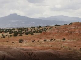 Mbrohet peizazhi që la gjurmë në veprat e piktores së famshme amerikane, Georgia O’Keeffe