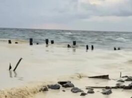 Katastrofë ekologjike në Odesa! Pellgje vaji dhe zogj të ngordhur: Sulmet ruse shkatërrojnë Portin, e shndërrojnë ujin në…