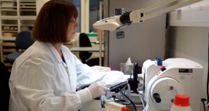 Ky mjet i IA mund t’i shpëtojë pacientët me kancer nga kimioterapia që s’u nevojitet