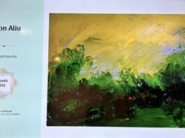 “Peizazhi Impresiv” i Faton Aliut në SHBA