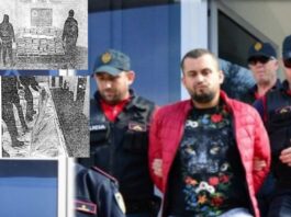 Babai deputet i Ramës, djali organizatori i trafikut të drogës në Turqi! Bisedat e Rexhep Rrajës në SkyEcc: ‘Un i bona me tzi…’