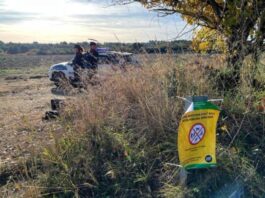 Ethet e derrave në Katalonia mund të kenë rrjedhur nga laboratori, thonë autoritet spanjolle