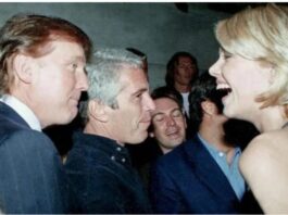 Demokratët publikuan foto të reja nga dosjet personale të Epstein, reagon Trump: Nuk është gjë e madhe, ai njeri kishte foto me këdo