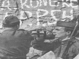 Si u shua ëndrra australiane e dy të rinjve korçarë në ’90-ën