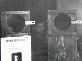 80 vjet nga zgjedhjet me gogla