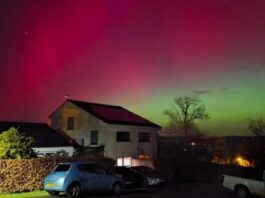 Dritat e Veriut pushtojnë qiellin britanik me ngjyra gjelbër e rozë