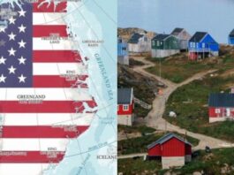 Harta e ishullit me flamurin amerikan, Danimarka: Të respektohet integriteti territorial i Groenlandës