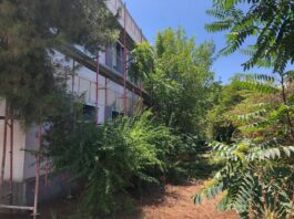 Hapësira në Kinostudio do rijetëzohet si kinema verore nga Arkivi i filmit