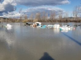Hapja e portave të Hidrocentralit të Banjës, përmbytet landfilli i Kuçovës/ Fermeri: 100 derra të ngordhur