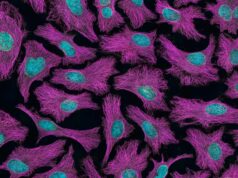 Cili është ndryshimi mes një tumori dhe kancerit?