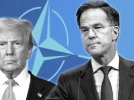 “Duhet të largoheni”/ Zyrtari i NATO-s kërcënon SHBA-të: Po morët Groenlandën, do të marrim bazat amerikane në Europë!