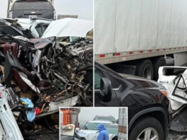 Një aksident ‘katastrofik’ që përfshinte deri në 150 automjete mbylli autostradën e famshme të Kalifornisë