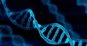 Njerëzit kanë ADN nga paraardhës misteriozë