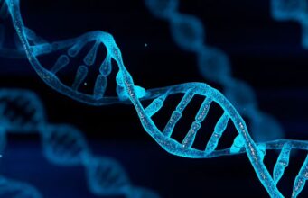 Njerëzit kanë ADN nga paraardhës misteriozë