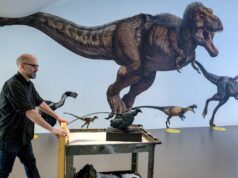 Pse nuk kishte dinosaurë sa një mi? Shkencëtarët zbulojnë misterin