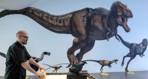 Pse nuk kishte dinosaurë sa një mi? Shkencëtarët zbulojnë misterin