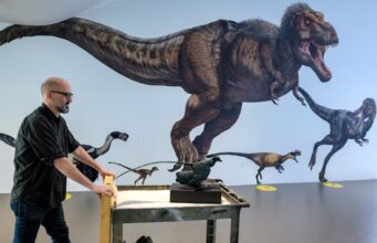 Pse nuk kishte dinosaurë sa një mi? Shkencëtarët zbulojnë misterin