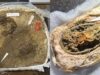 Fragmente tekstili mbijetojnë 1,300 vjet në varrin e një gruaje vikinge