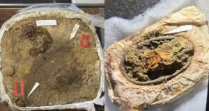 Fragmente tekstili mbijetojnë 1,300 vjet në varrin e një gruaje vikinge