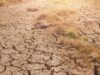 Super El Niño i viteve 1870 që shkaktoi miliona viktima