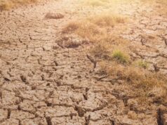 Super El Niño i viteve 1870 që shkaktoi miliona viktima