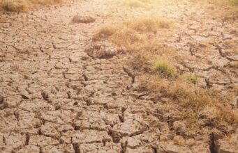 Super El Niño i viteve 1870 që shkaktoi miliona viktima